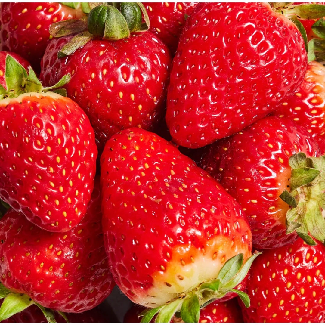 All Shake Fruity – Daily Shake - Premium Wellness