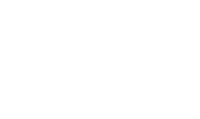 Daily Shake - Premium Meal Replacement Shakes