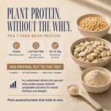 Multi Flavour Single Sachet Pack pea and faba bean plant protein benefits with up to 26g protein per serve